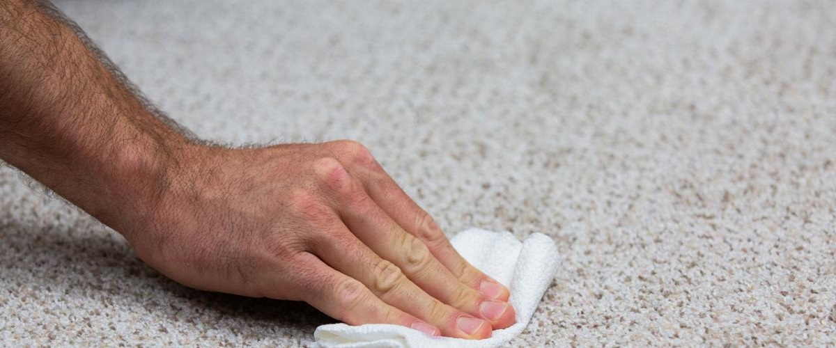 How To Hide Stains In Your Office Carpet Until The Pros Can Remove Them